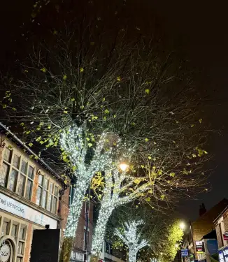 Click Here To Enlarge This Photo Of Our First Christmas Switch-On of the Season