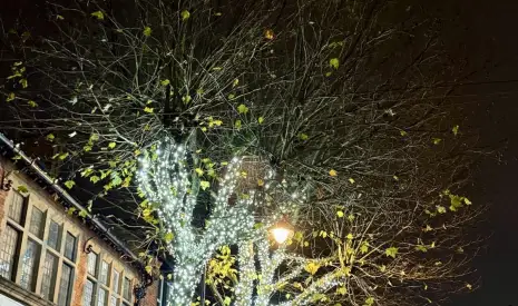 Our First Christmas Switch-On of the Season