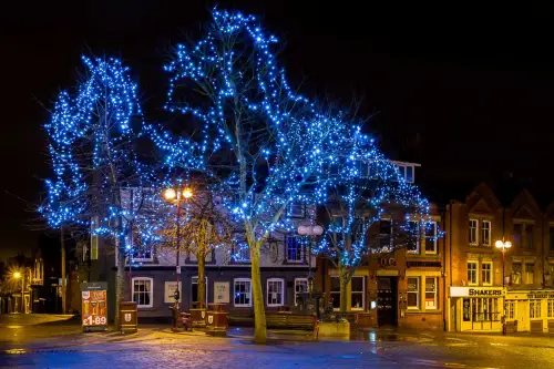 Click Here To Enlarge This Photo Of LED Tree Kits