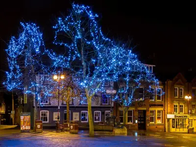 LED Tree Kits